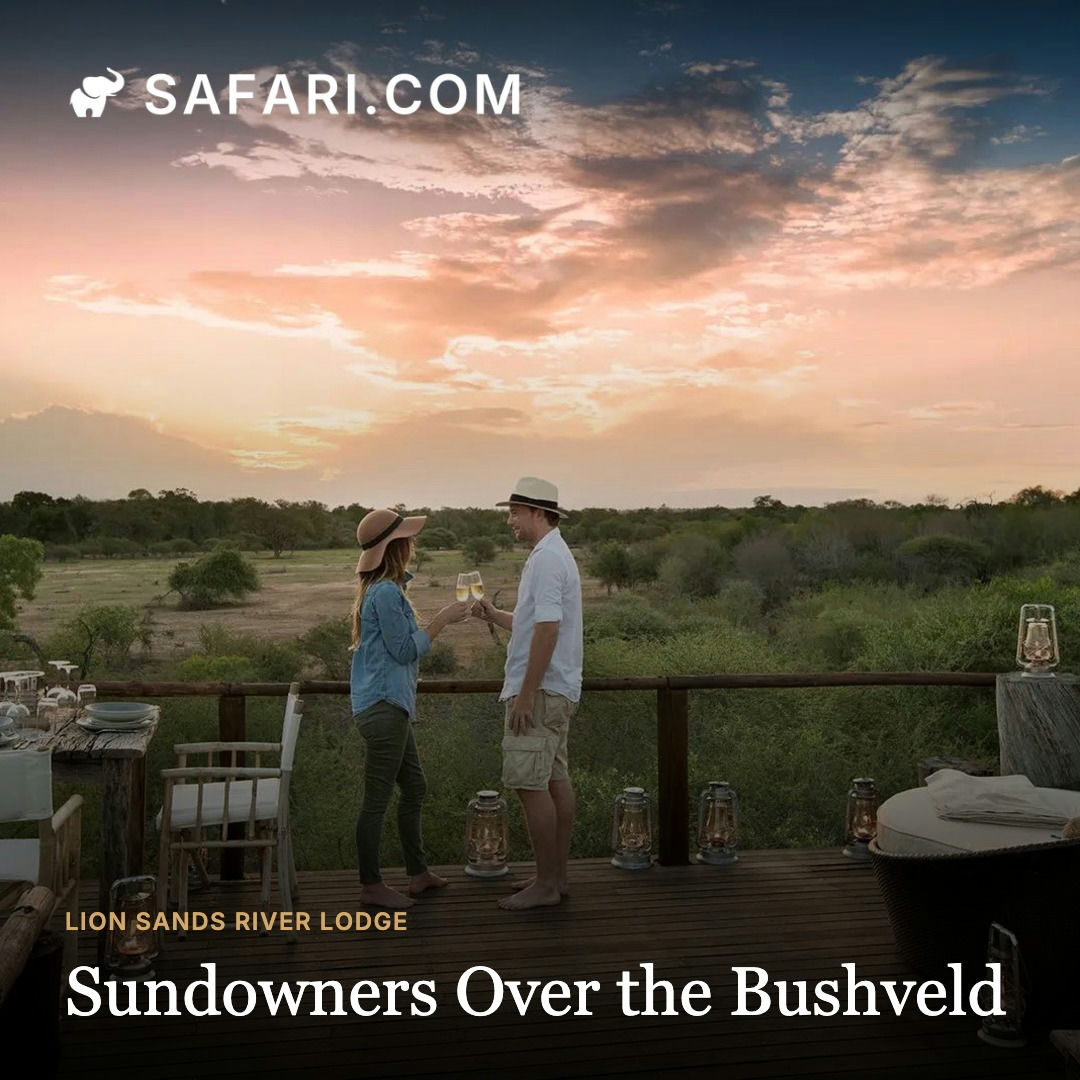 A real Post Studio output: sundowners scene with overlay headline