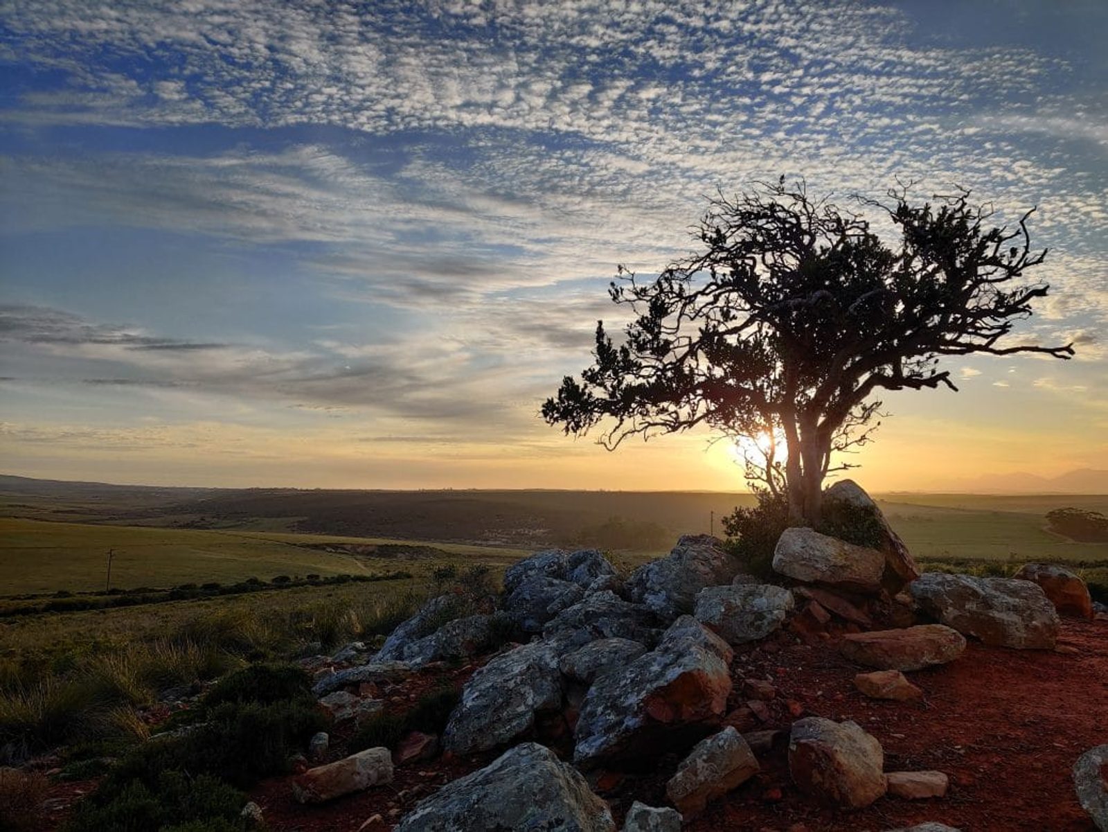 We enjoyed sunset and sunrise game drives each between 2 - 3 hours