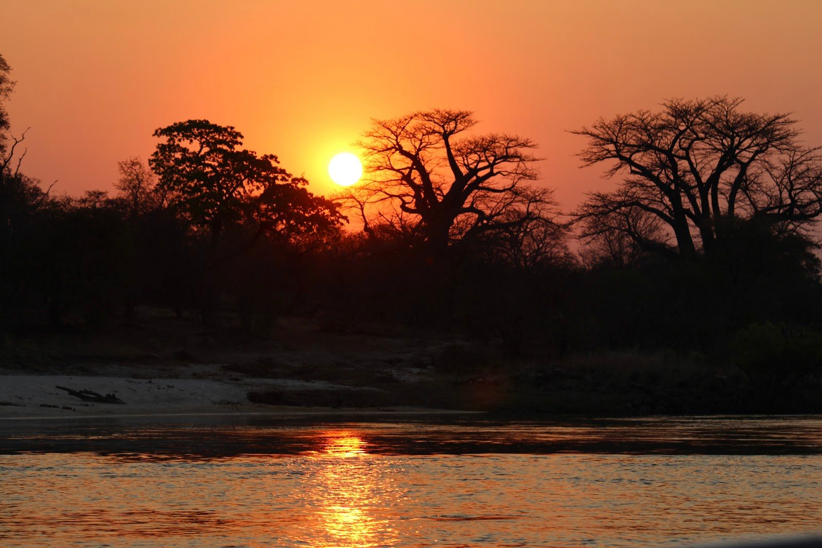 The most incredible African sunset cruise