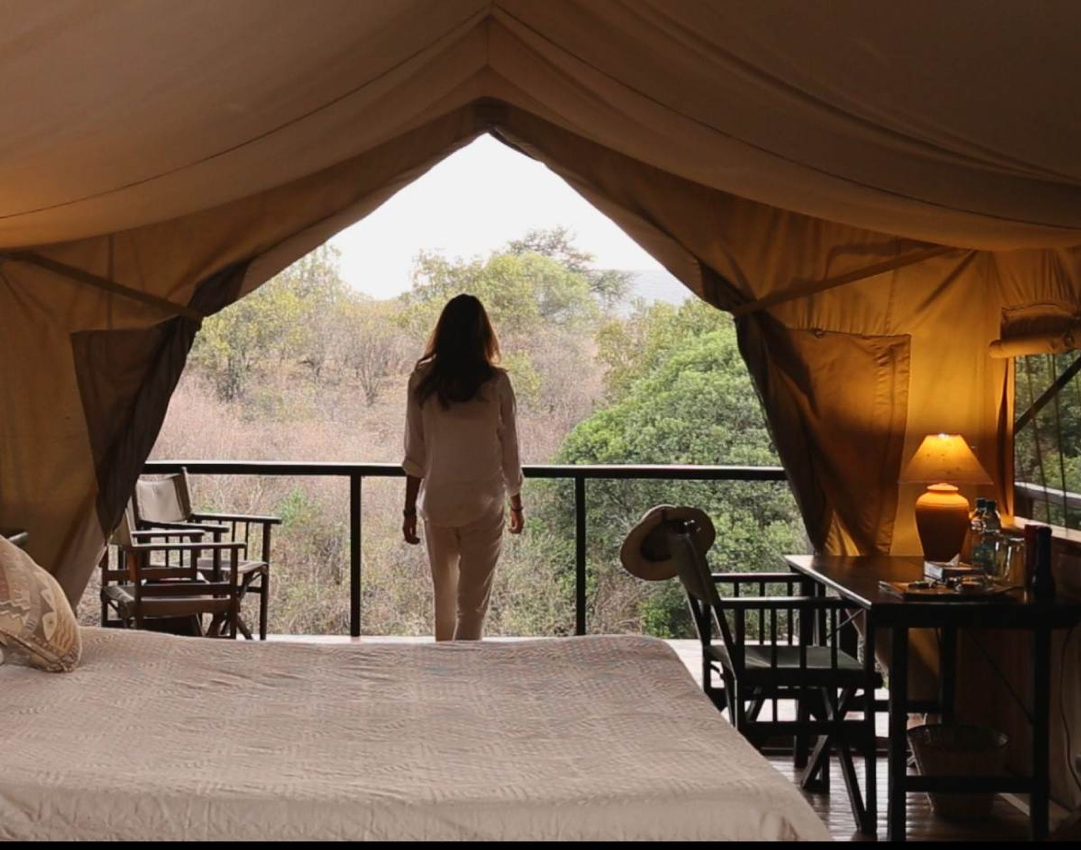 Safari Travel Report 2025: Decision Drag, Longer Trips & Vic Falls Boom