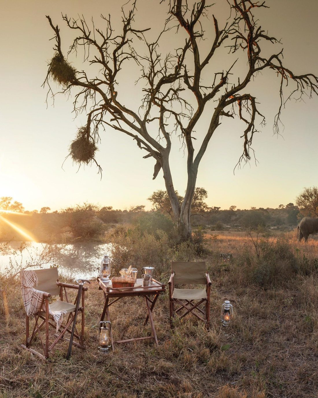7 Day Sumptuous Timbavati And Sabi Sand Safari