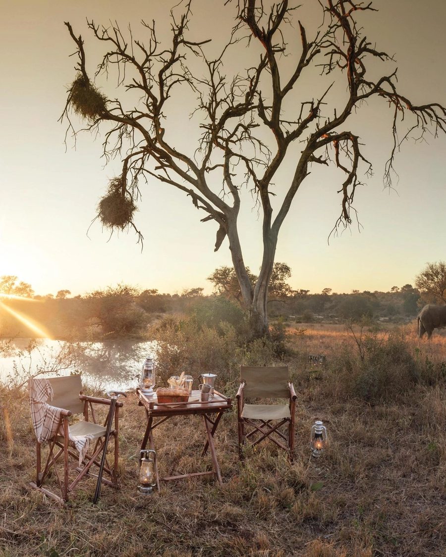 7 Day Sumptuous Timbavati And Sabi Sand Safari