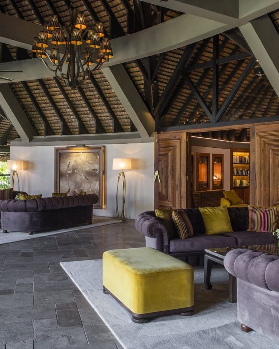 Royal Palm Beachcomber