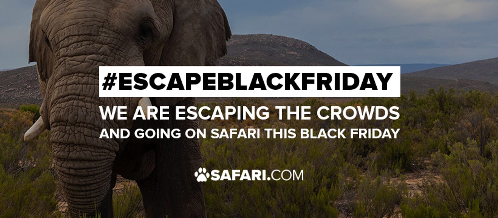 #EscapeBlackFriday