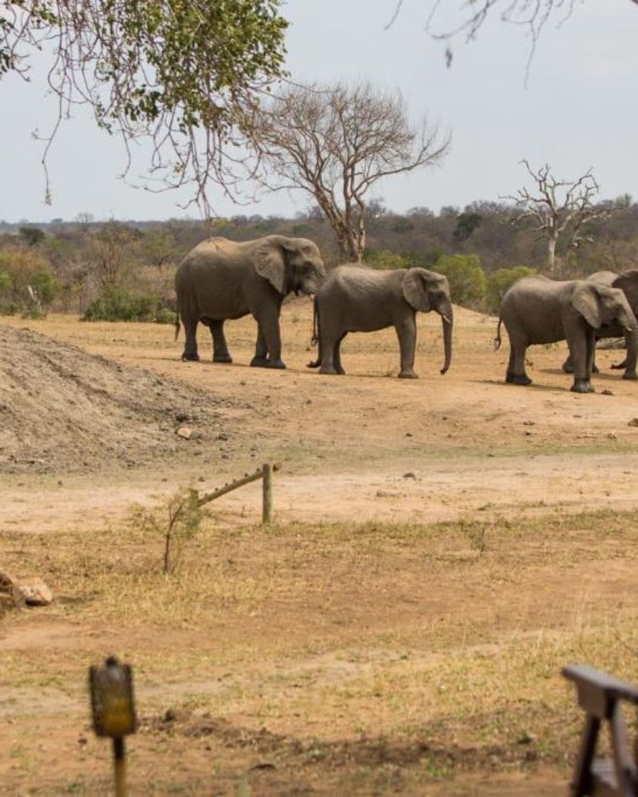 Tangala Safari Lodge