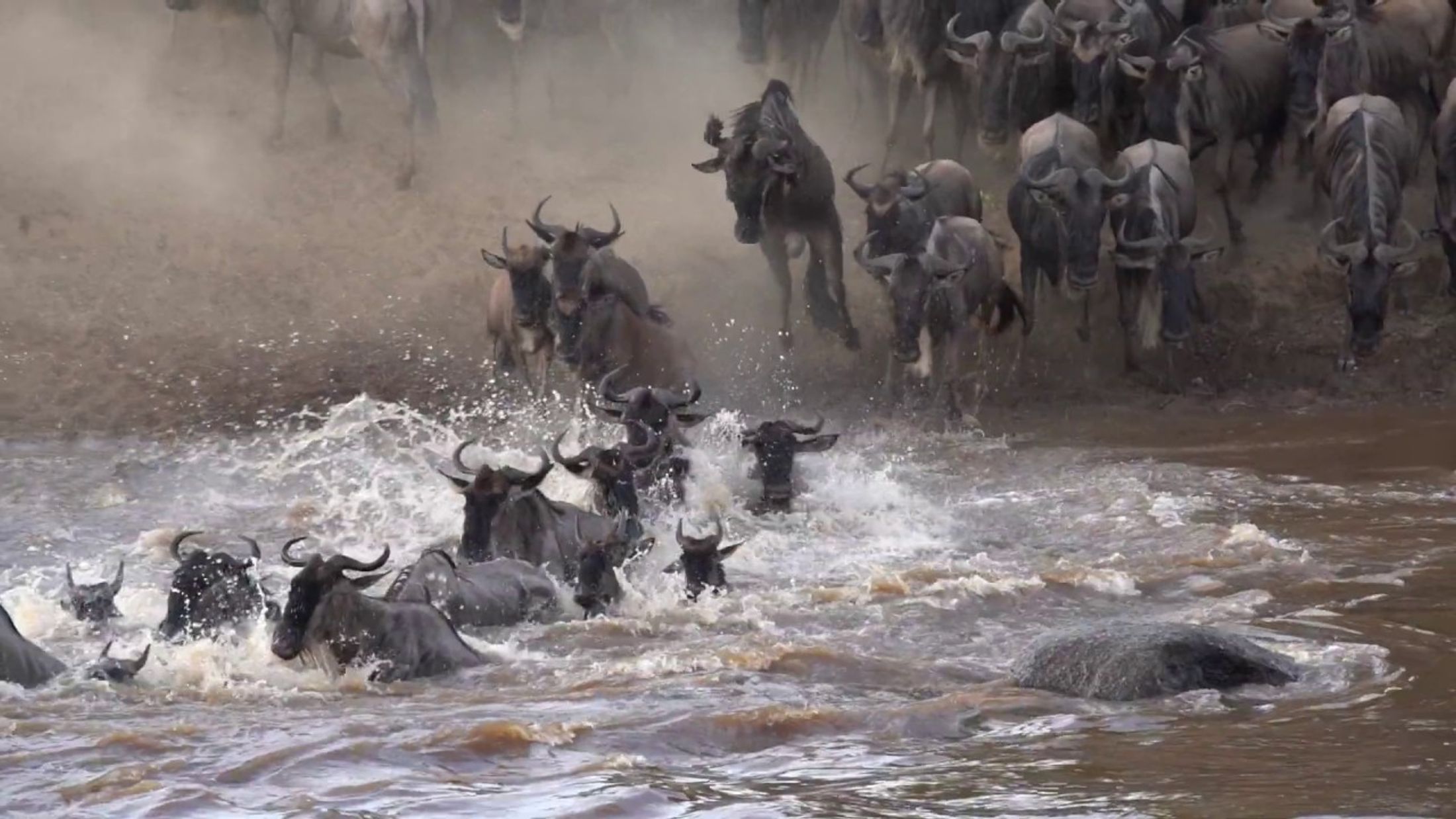 The Great Migration Path Explained