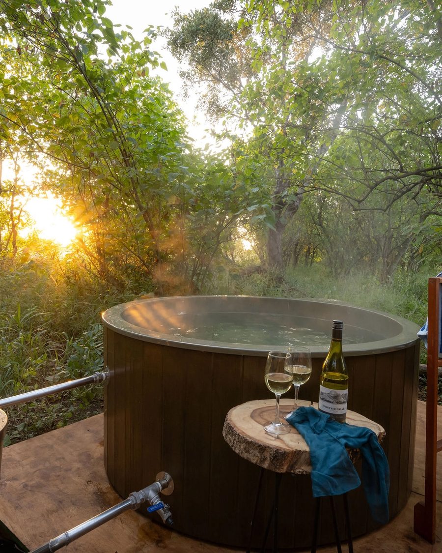 Kruger Untamed Satara Plains