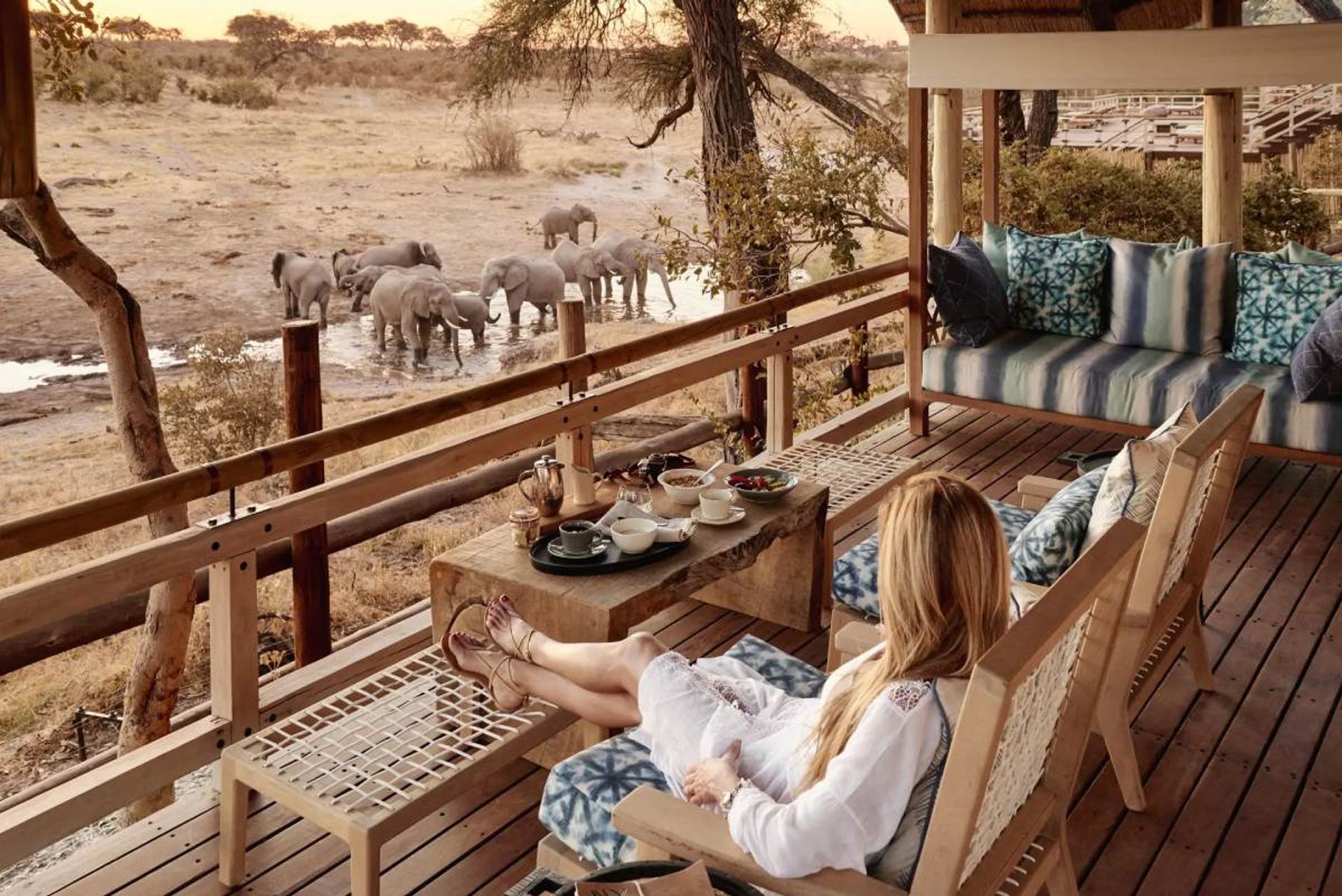 5 Seasonal Offers Across Southern Africa in 2026