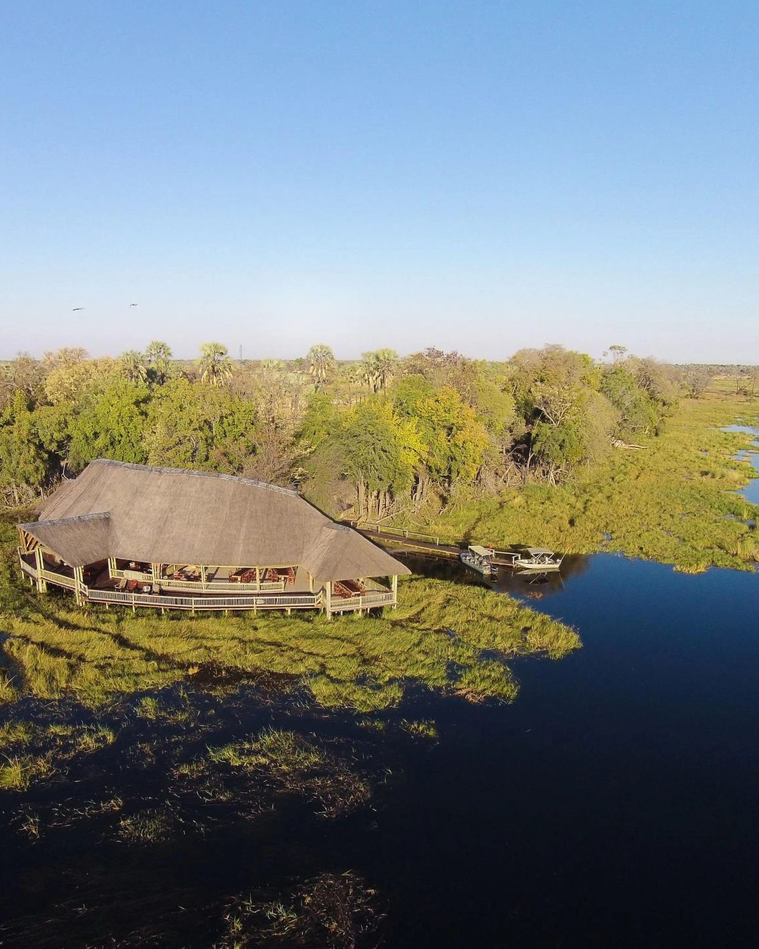 5 Day Magical Moremi & Okavango Delta