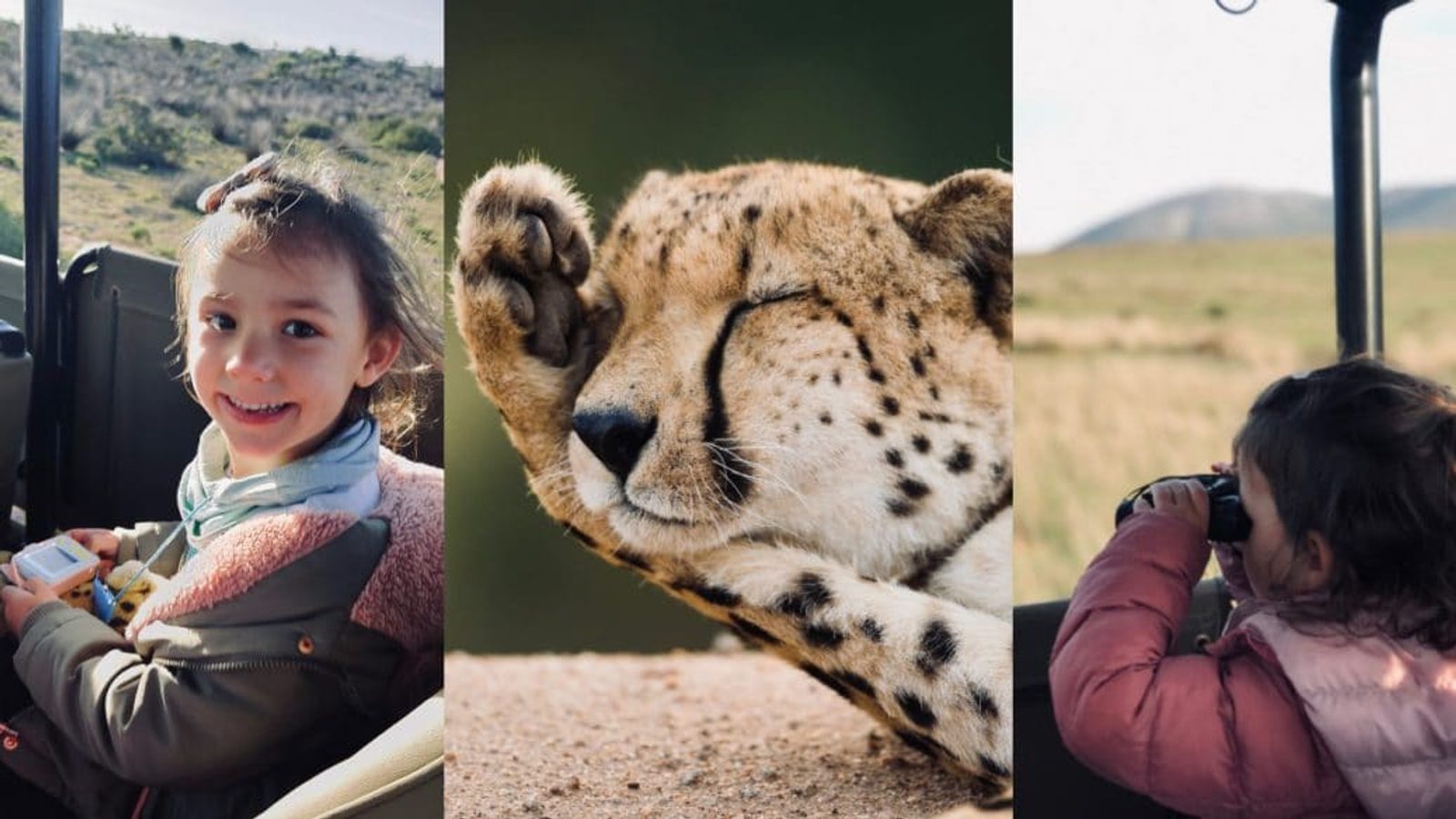 Already seasoned safari-lovers