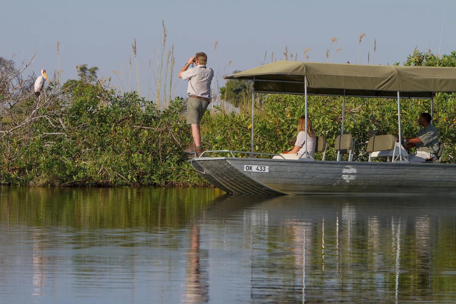 Birdwatching at Camp Xakanaxa with Desert & Delta, Botswana.
