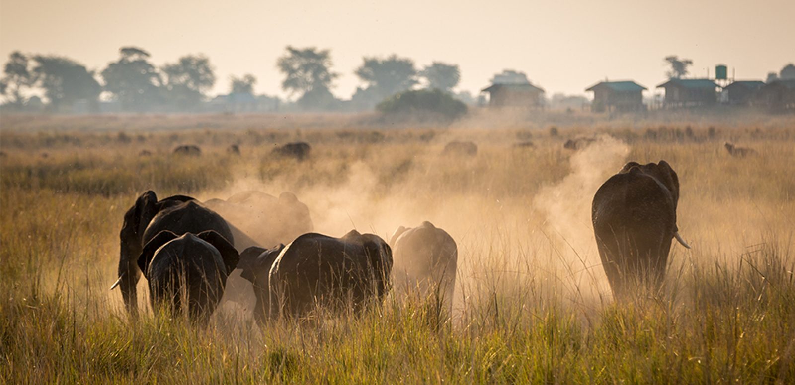 The Uni-Visa allows you to experience top attractions like the Chobe National Park.