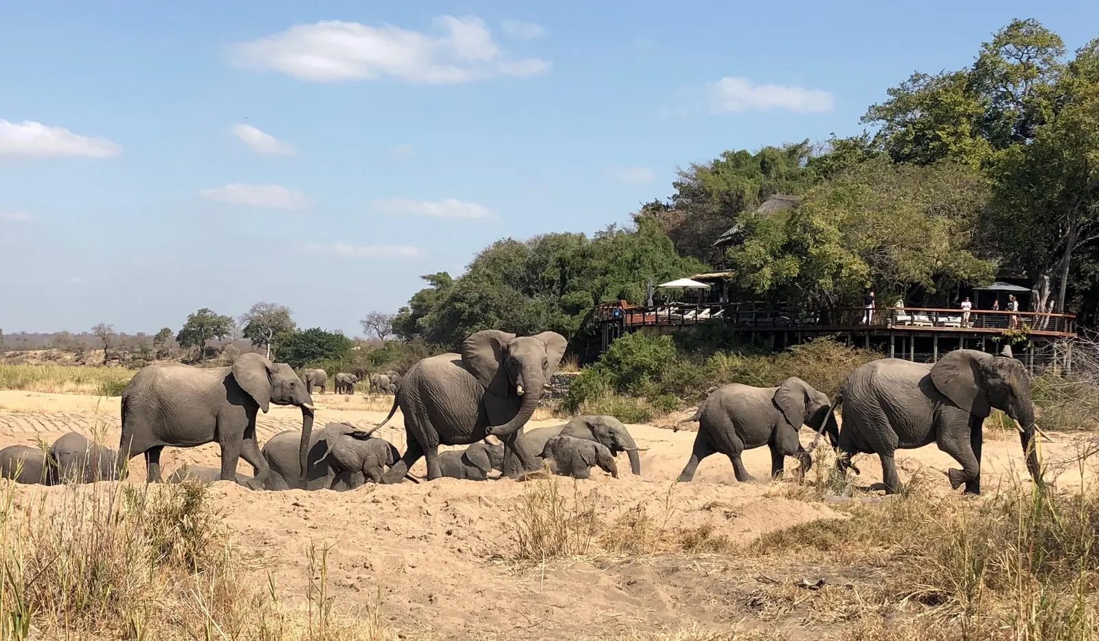 Jock Safari Lodge