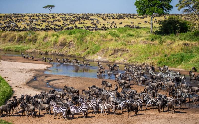 A Traveller's Guide to East Africa: Where and When to Travel