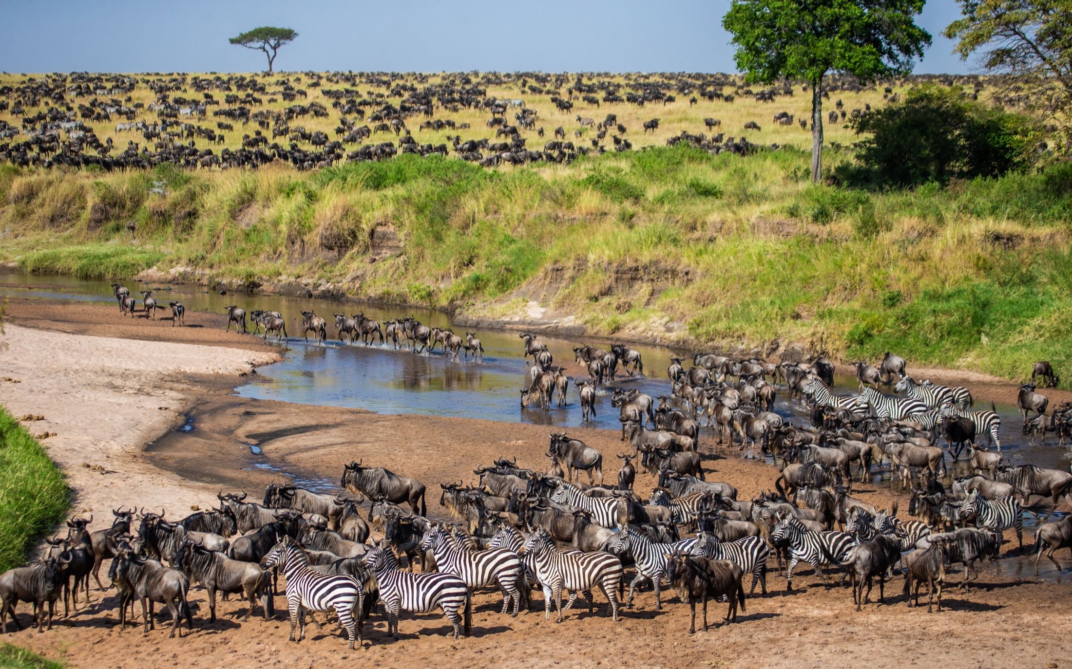 A Traveller's Guide to East Africa: Where and When to Travel