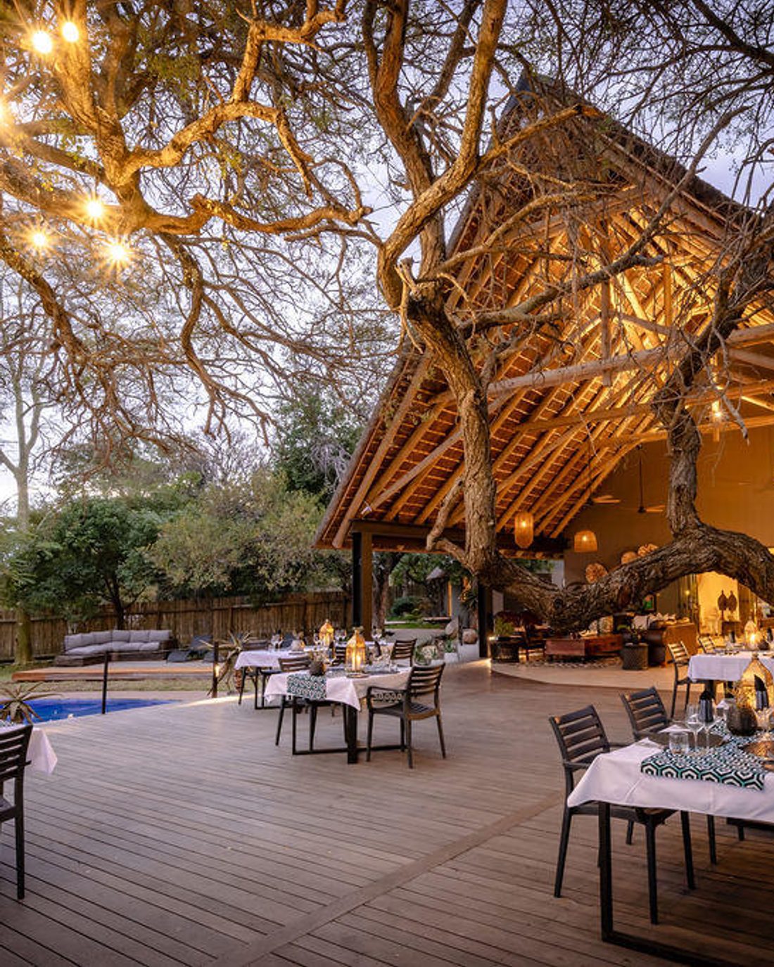 Tomo Safari Lodge