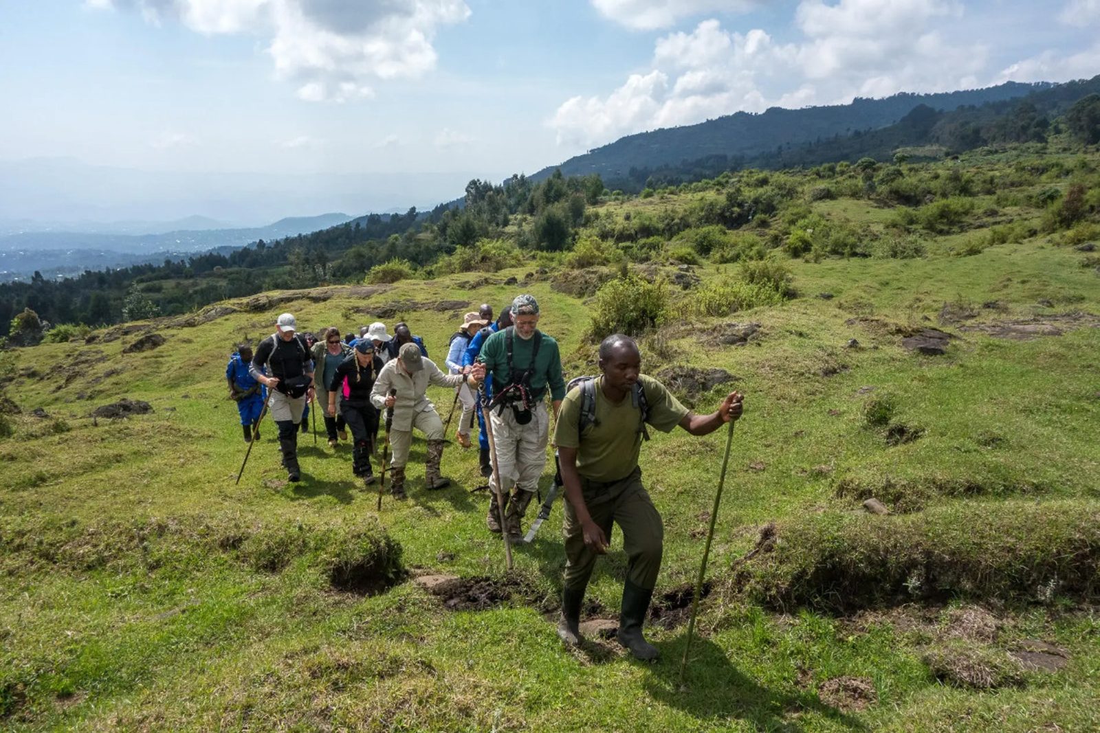 Trekking with Wilderness Bisate in Volcanoes National Park, Rwanda.