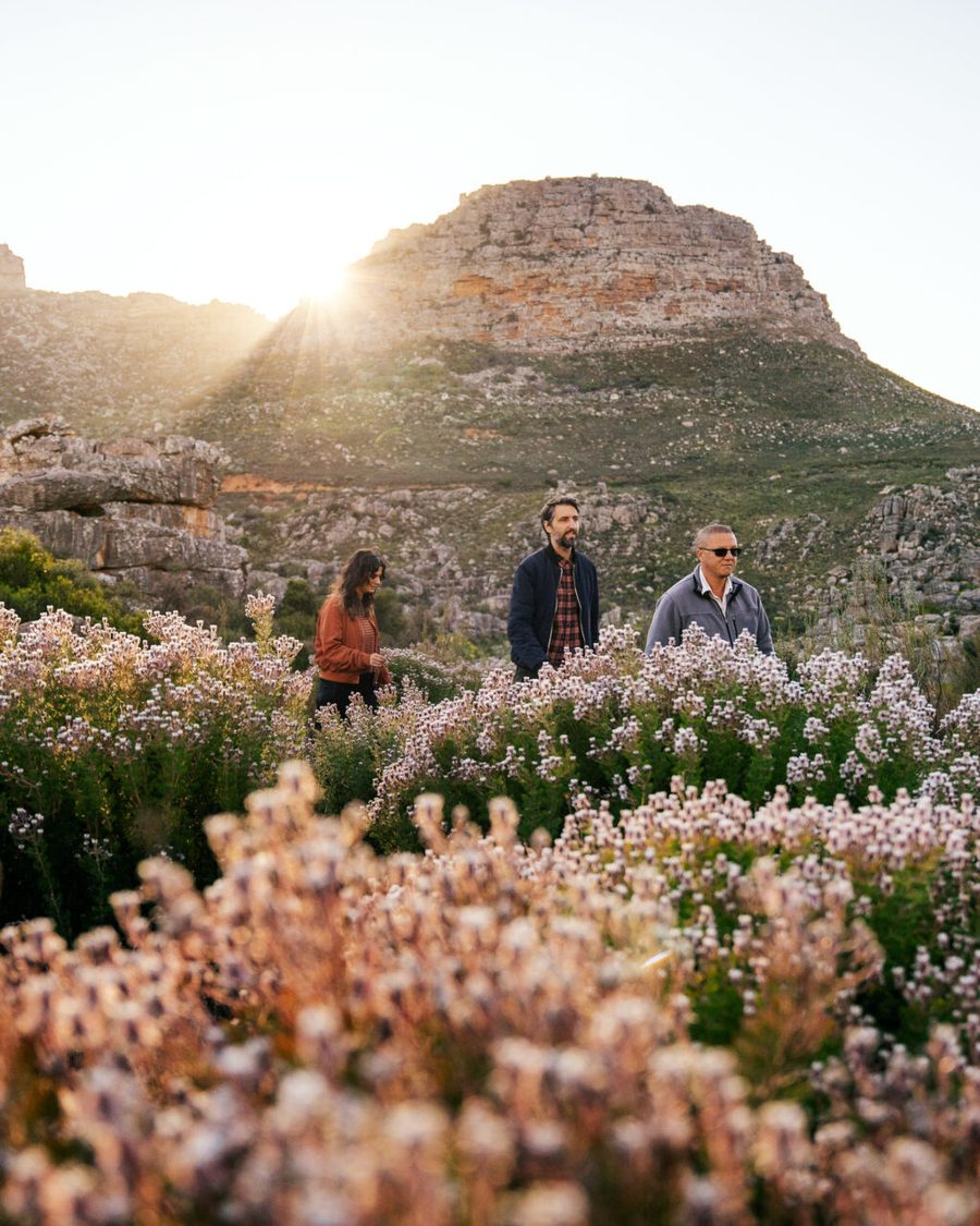 Simbavati Cederberg Ridge