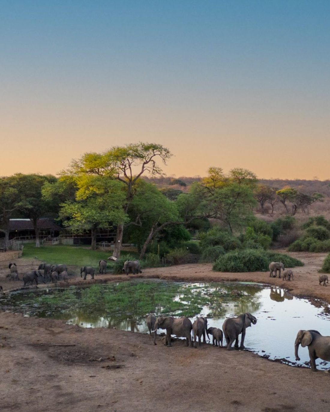 Elephant Valley Lodge