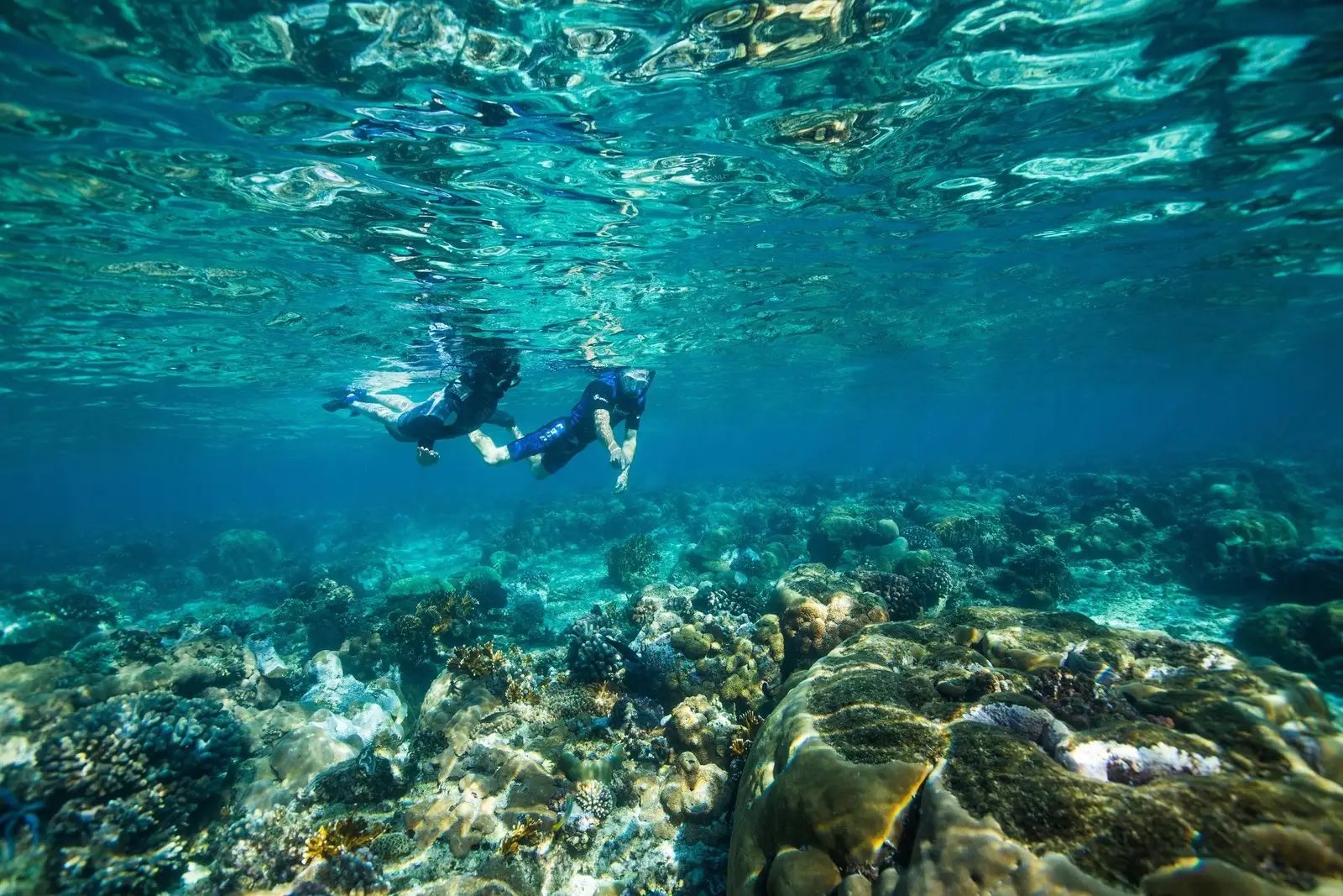 Snorkelling with Azura Benguerra Island, Mozambique.