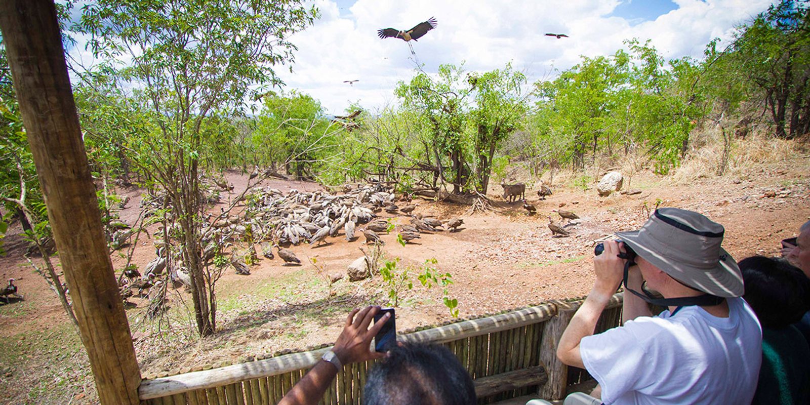 Visitors enjoying the Victoria Falls Safari Club vulture experience enjoy unprecedented photographic opportunities.