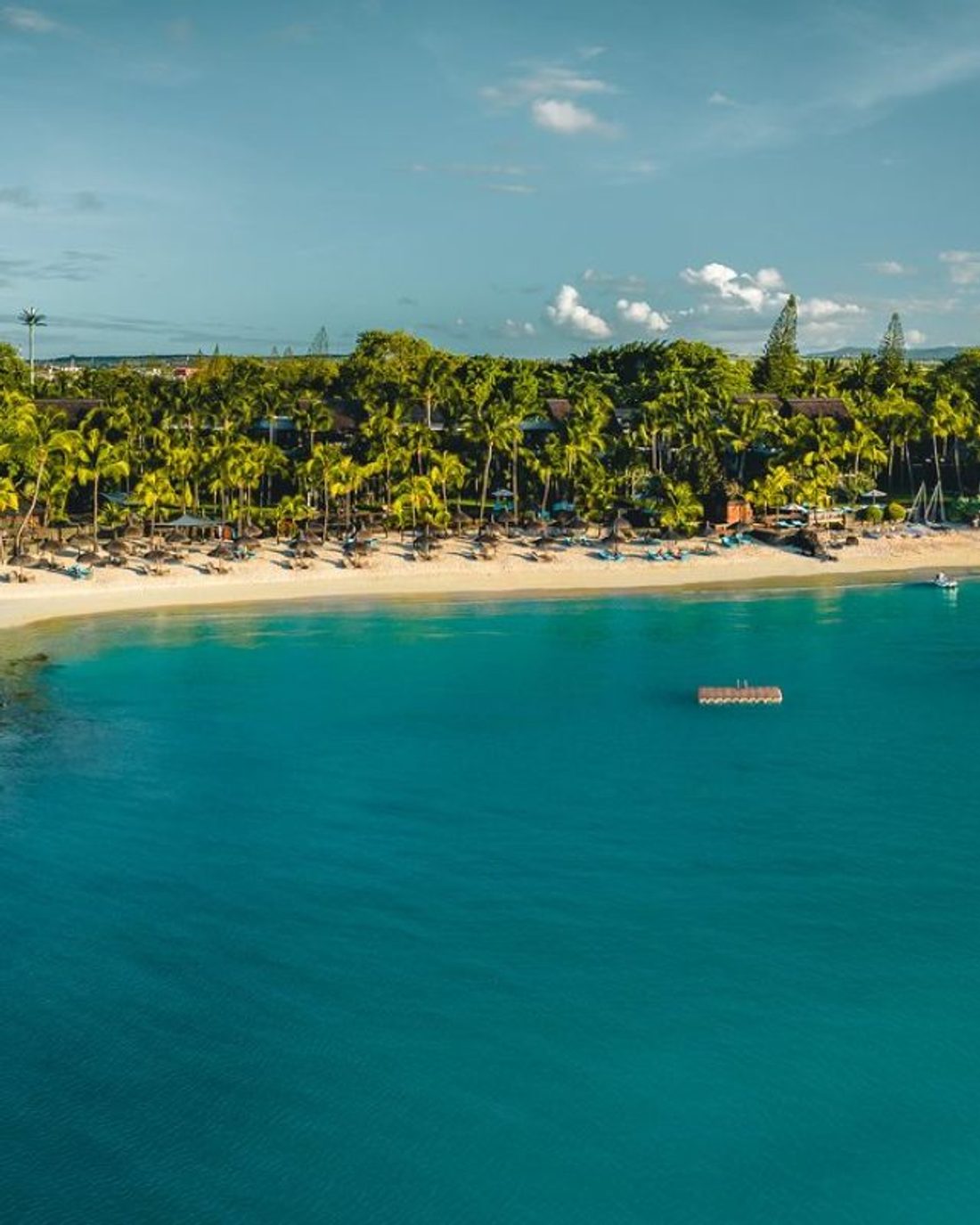 Royal Palm Beachcomber