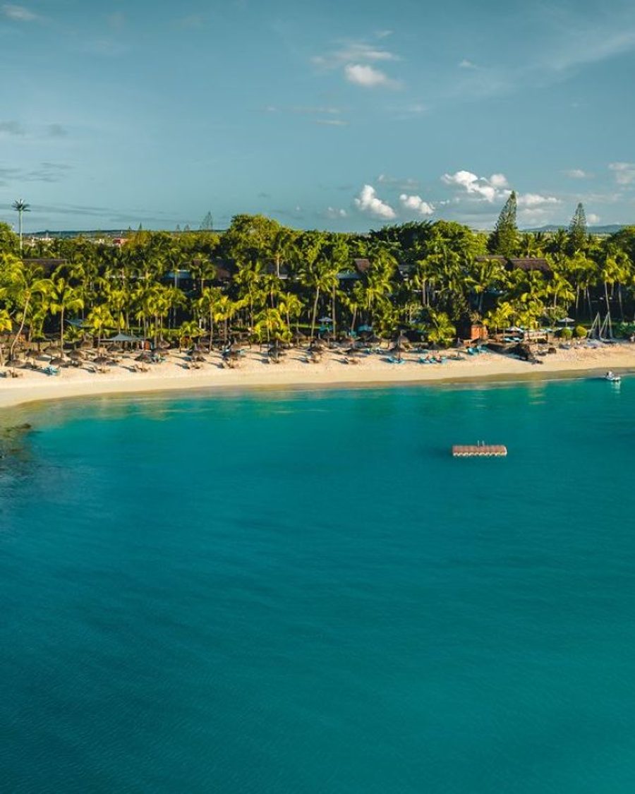Royal Palm Beachcomber