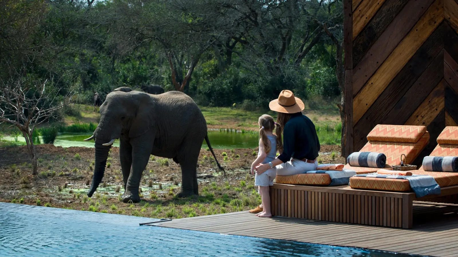 Elephant watching at Phinda Homstead with &Beyond, South Africa.
