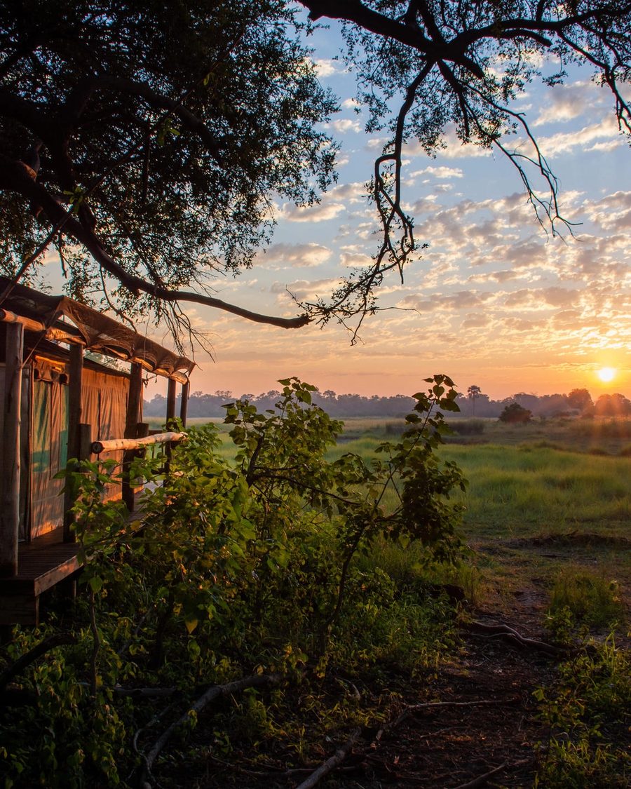 5 Day Magical Moremi & Okavango Delta