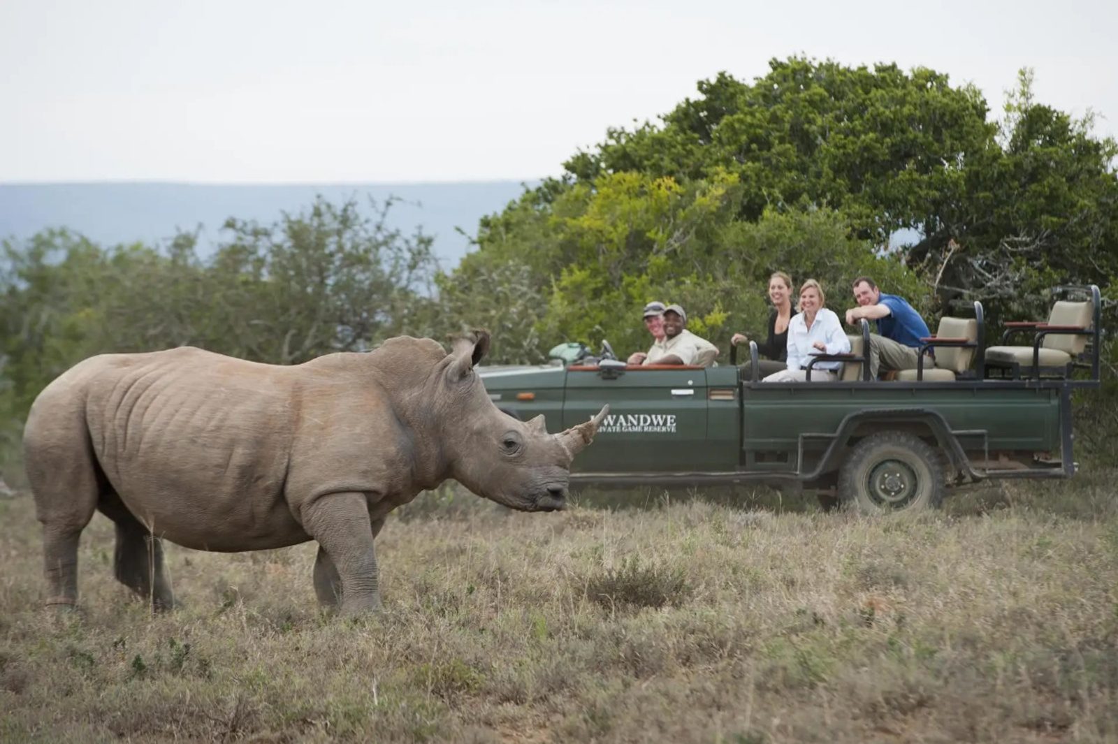 A white rhino at Kwandwe Private Game Reserve in South Africa.