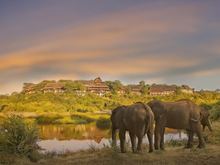 9-Day Victoria Falls, Cape Town, MalaMala Camp Ultra-Luxury Safari