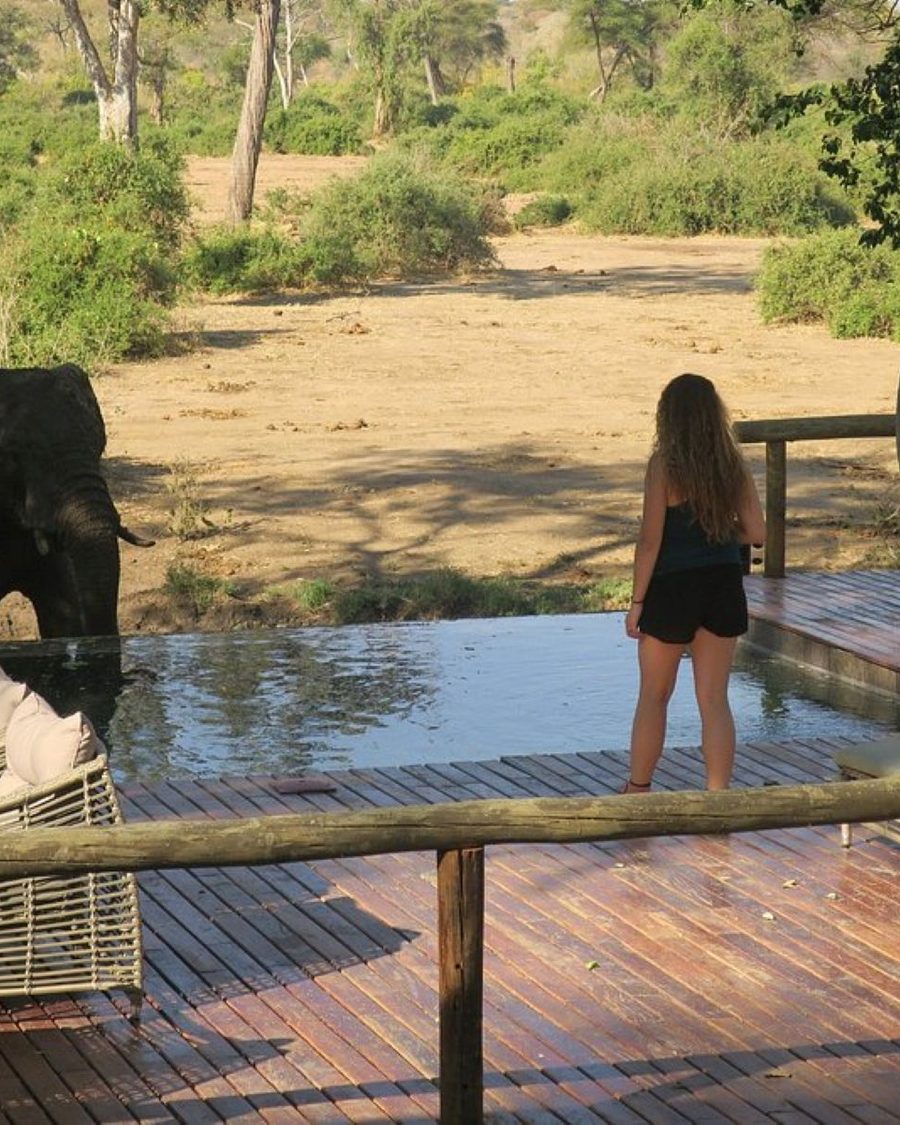 Elephant Valley Lodge