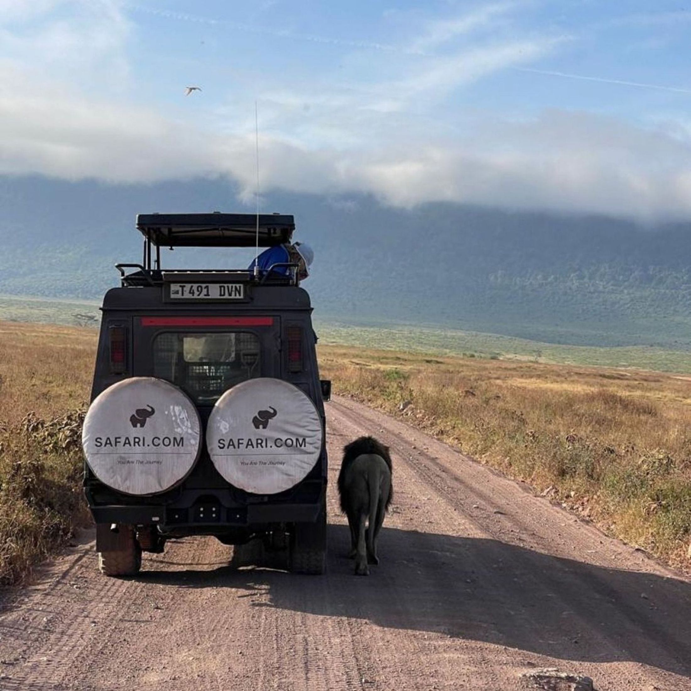 How to Choose a Trusted Safari Operator: A Guide to a Worry-Free Adventure
