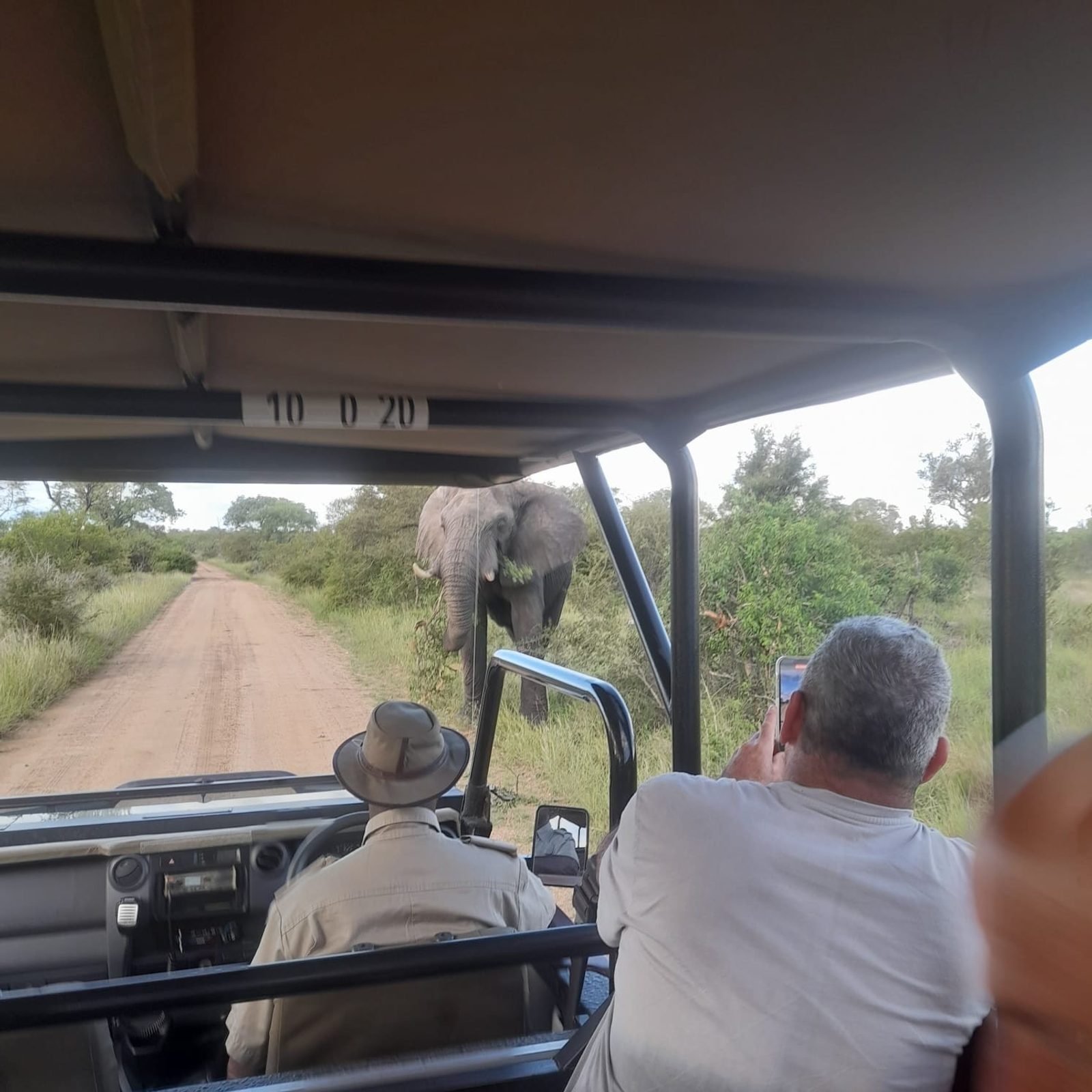 Close encounters with an elephant bull!