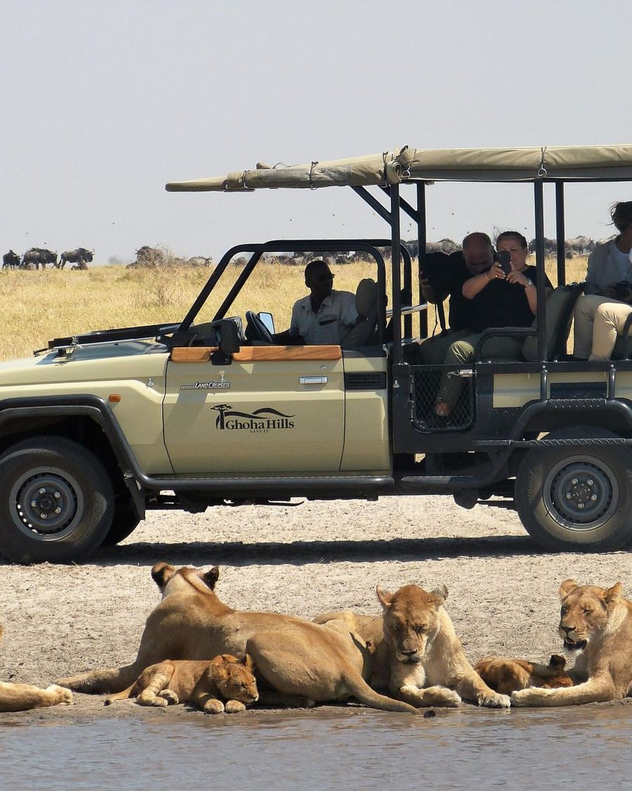 Ghoha Hills Savuti Lodge