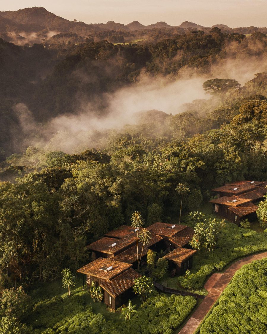  One & Only Nyungwe House