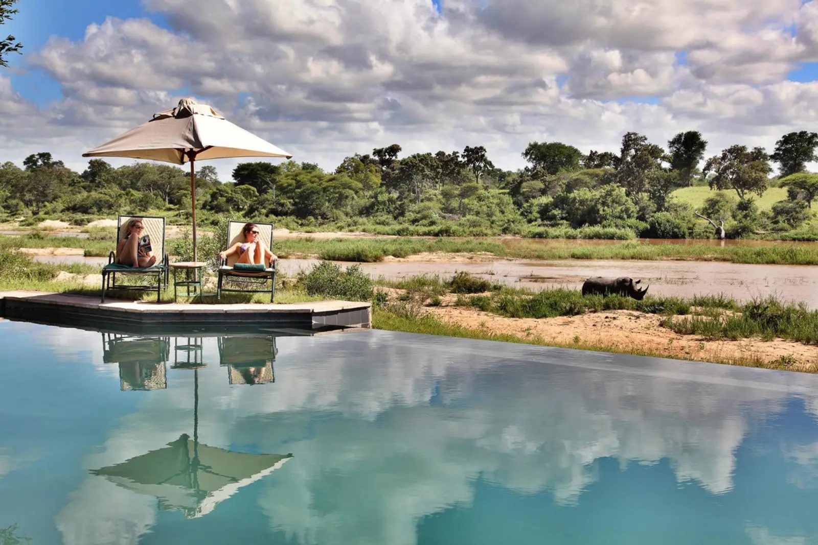 A rhino is spotted from the swimming pool at MalaMala Camp