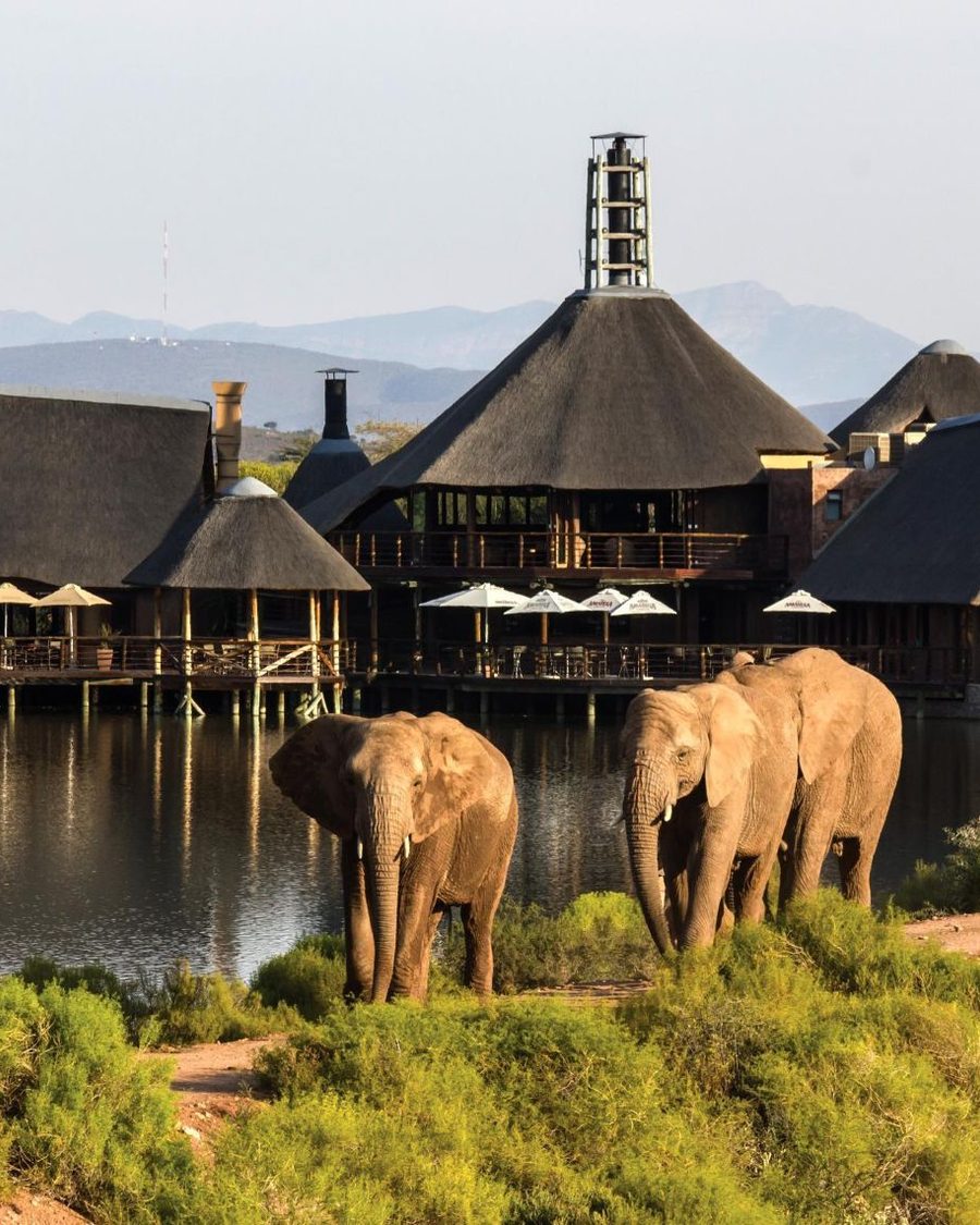 Buffelsdrift Game Lodge