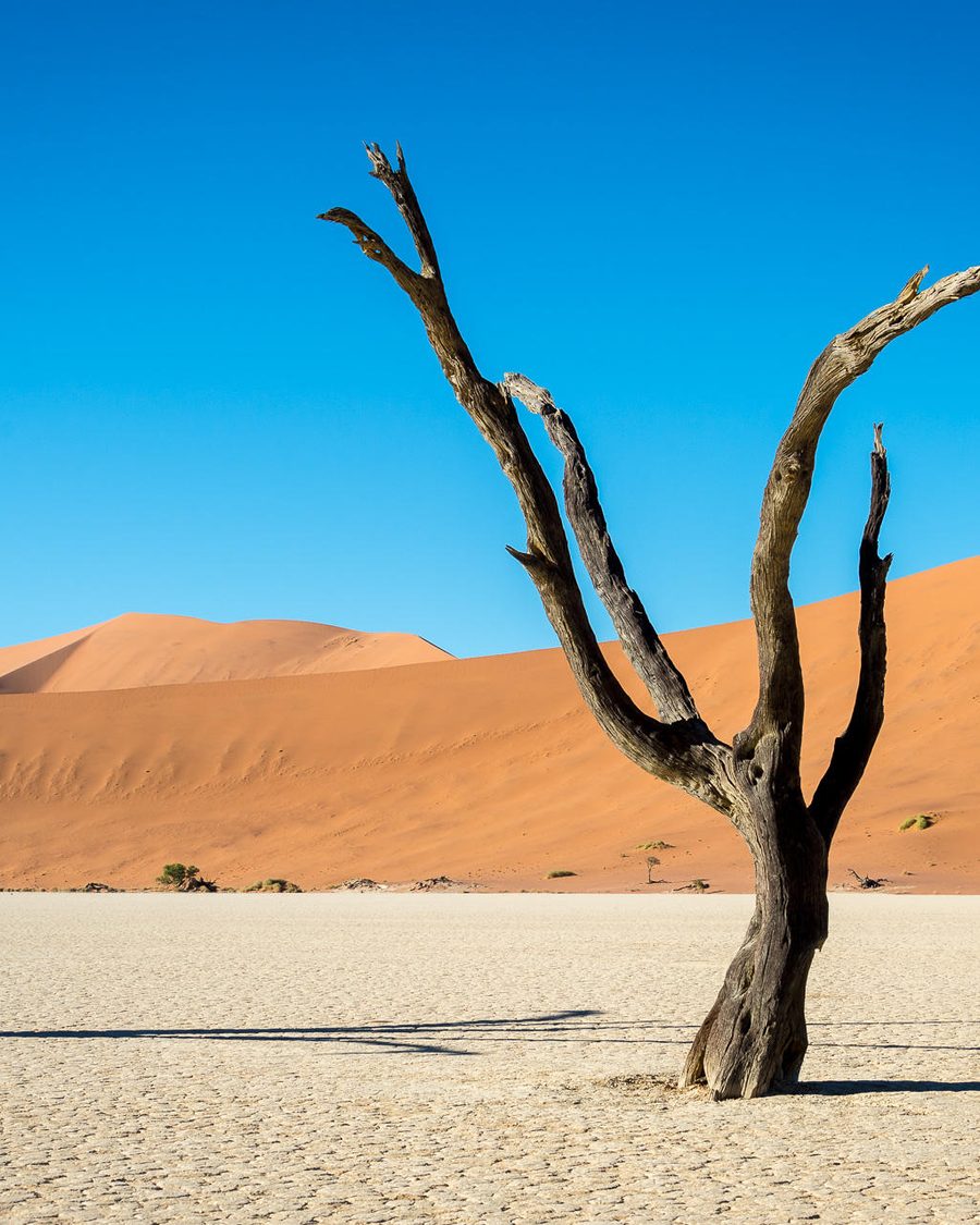 9 Day Diverse Namibia