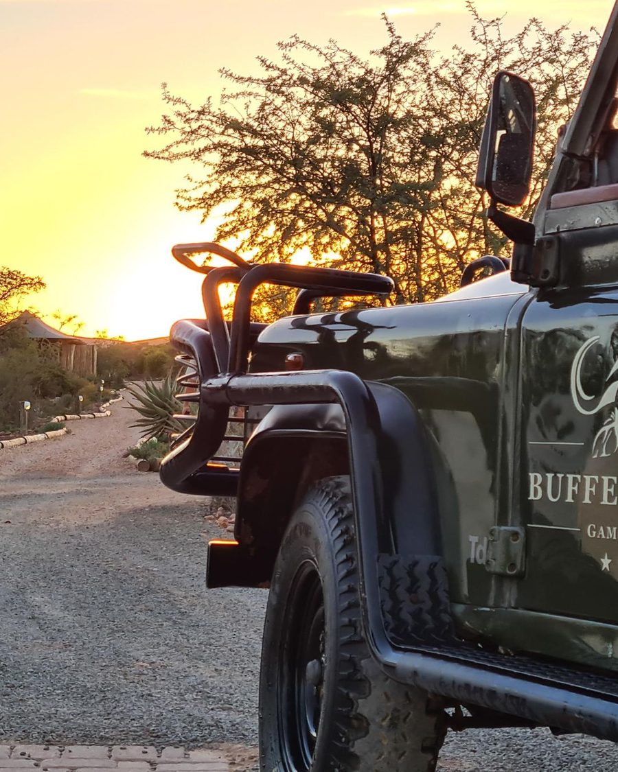 Buffelsdrift Game Lodge