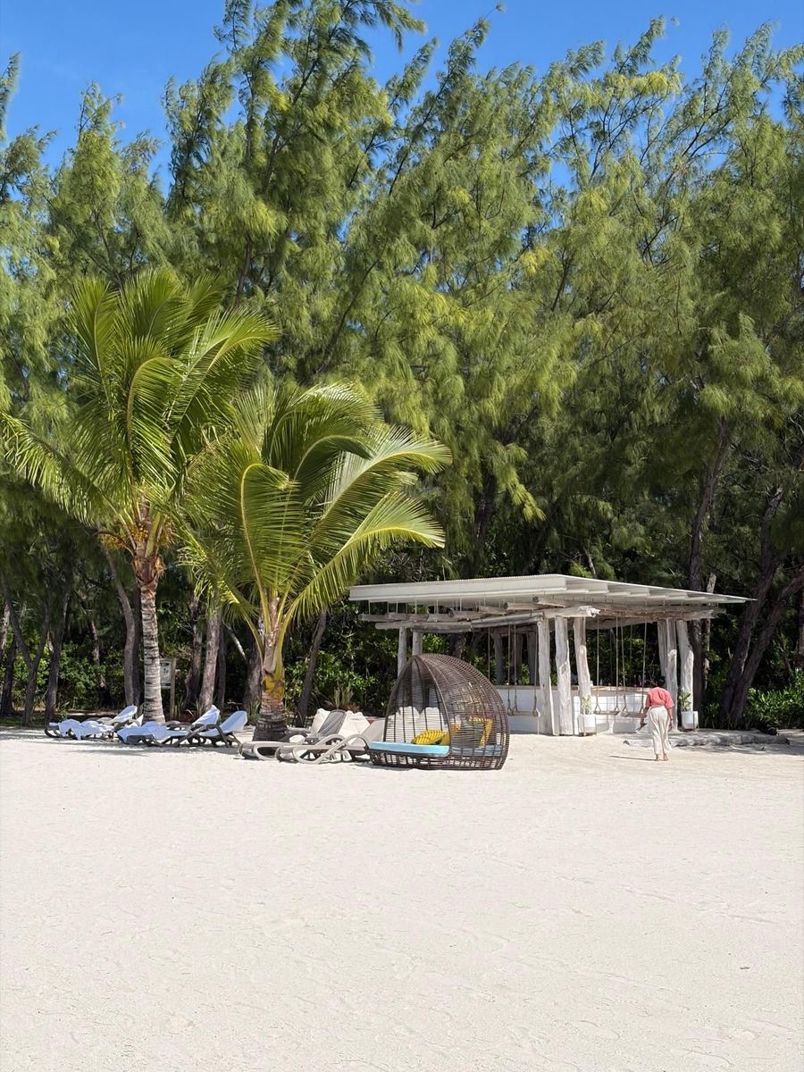 A single beach-bar cabana under casuarinas and palms on Four Seasons' private island beach, Mauritius