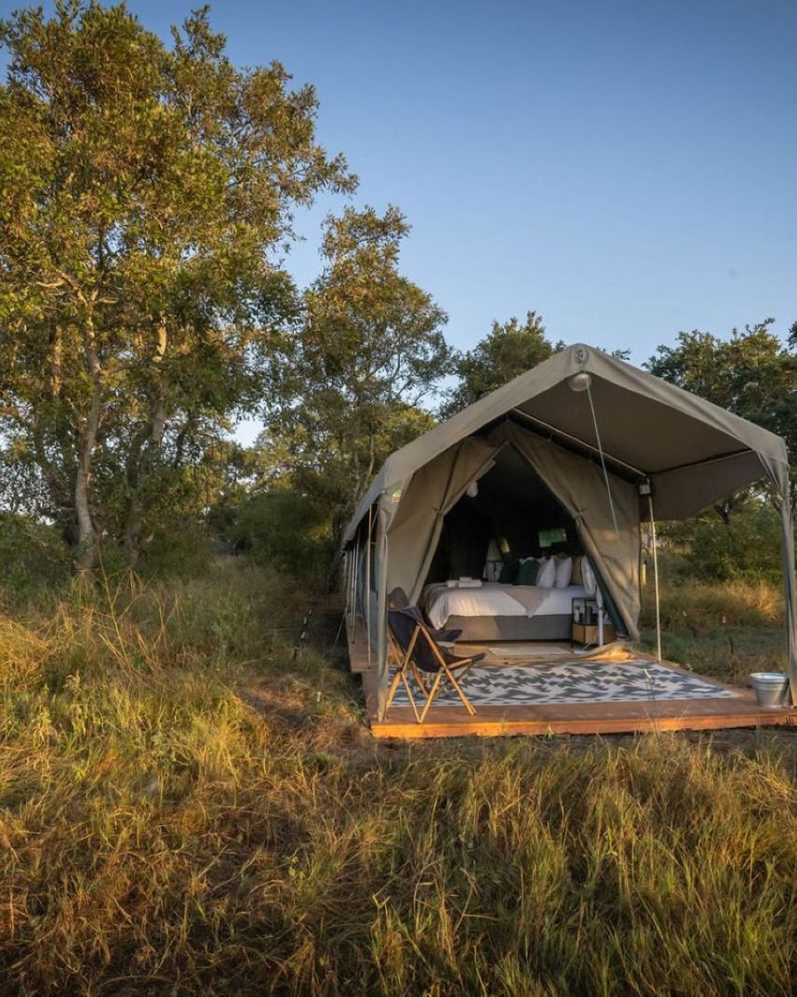 Kruger Untamed Satara Plains
