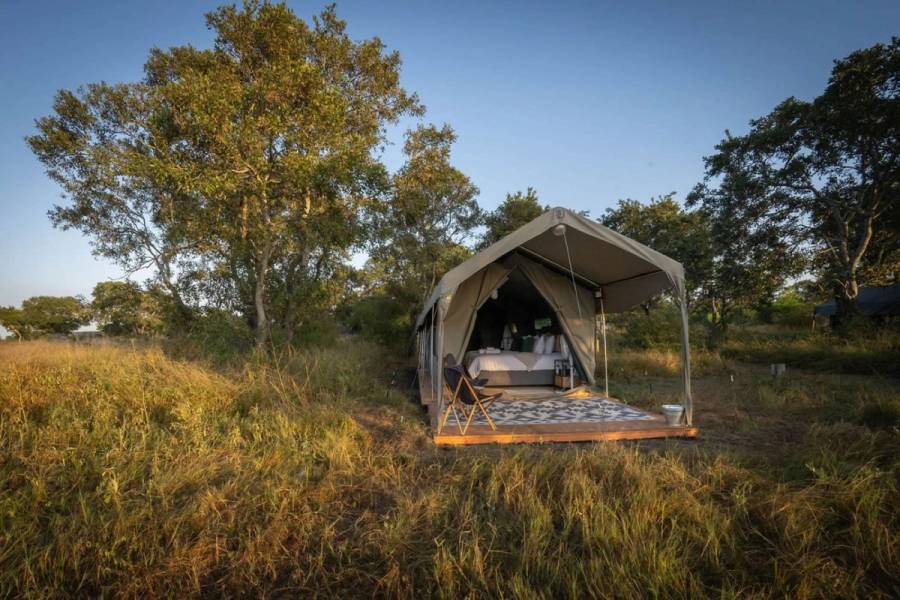 Kruger Untamed Satara Plains