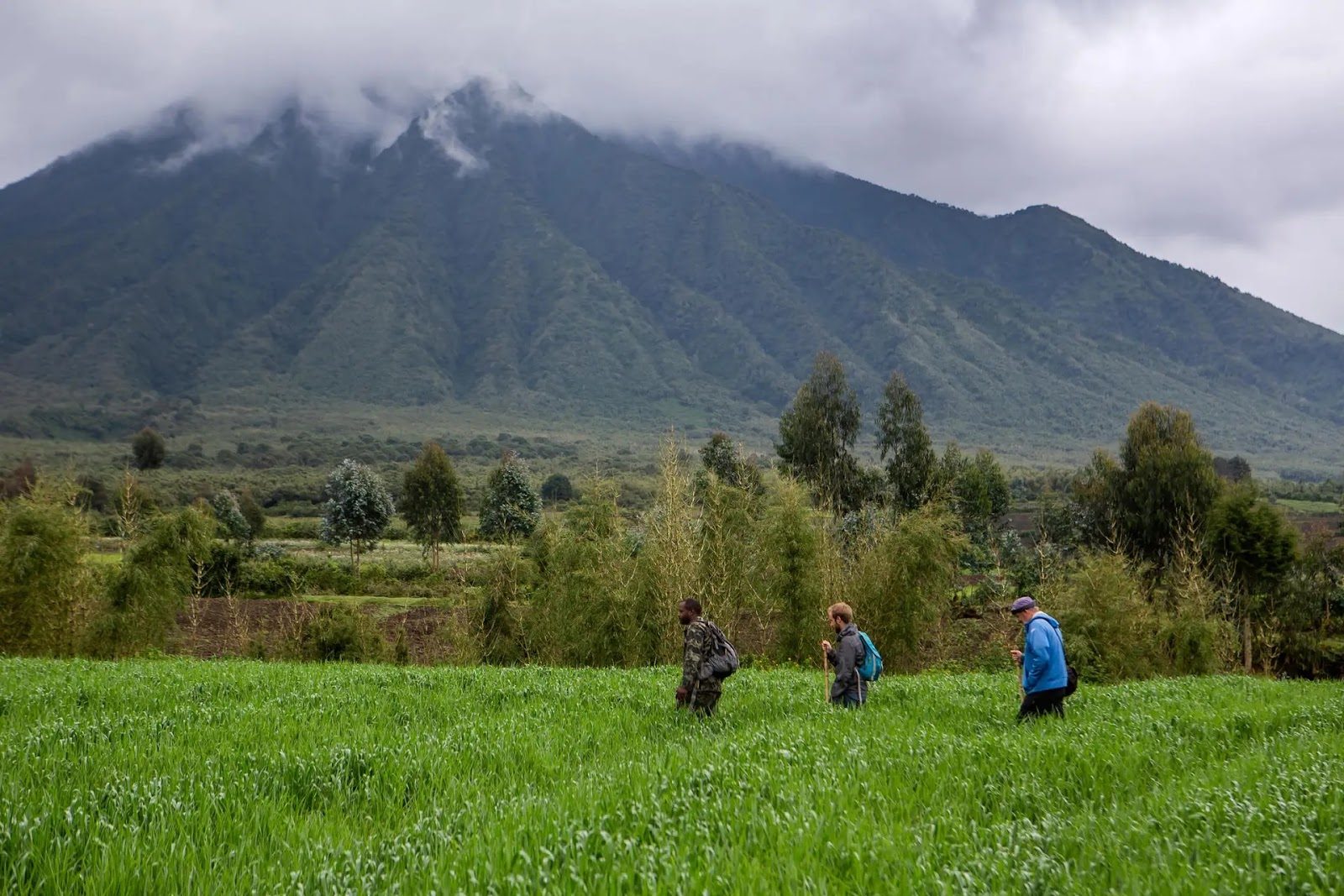 Trekking in Rwanda.
