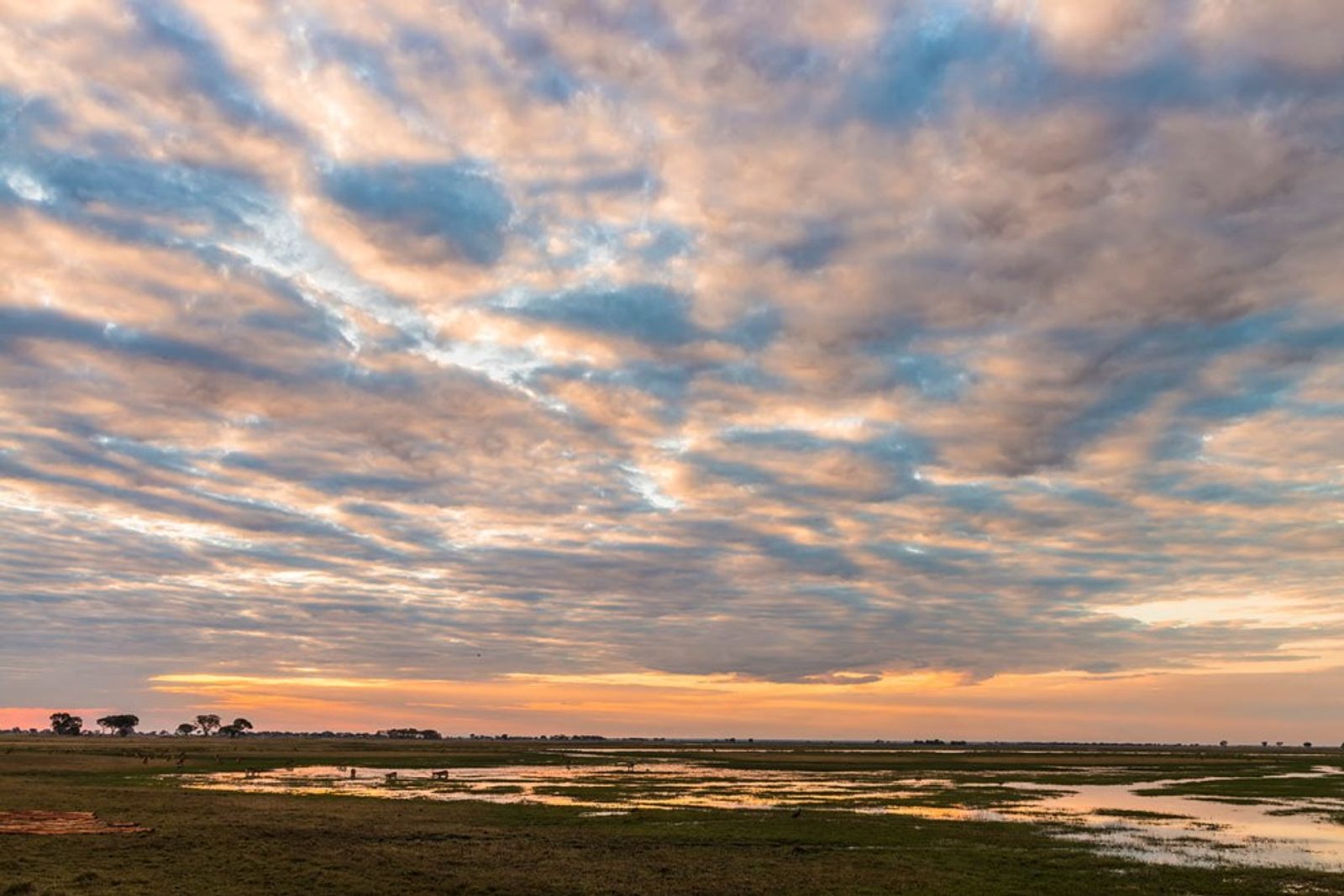 The Splendour of the Busanga Swamps. Photo: Mukambi Safaris.