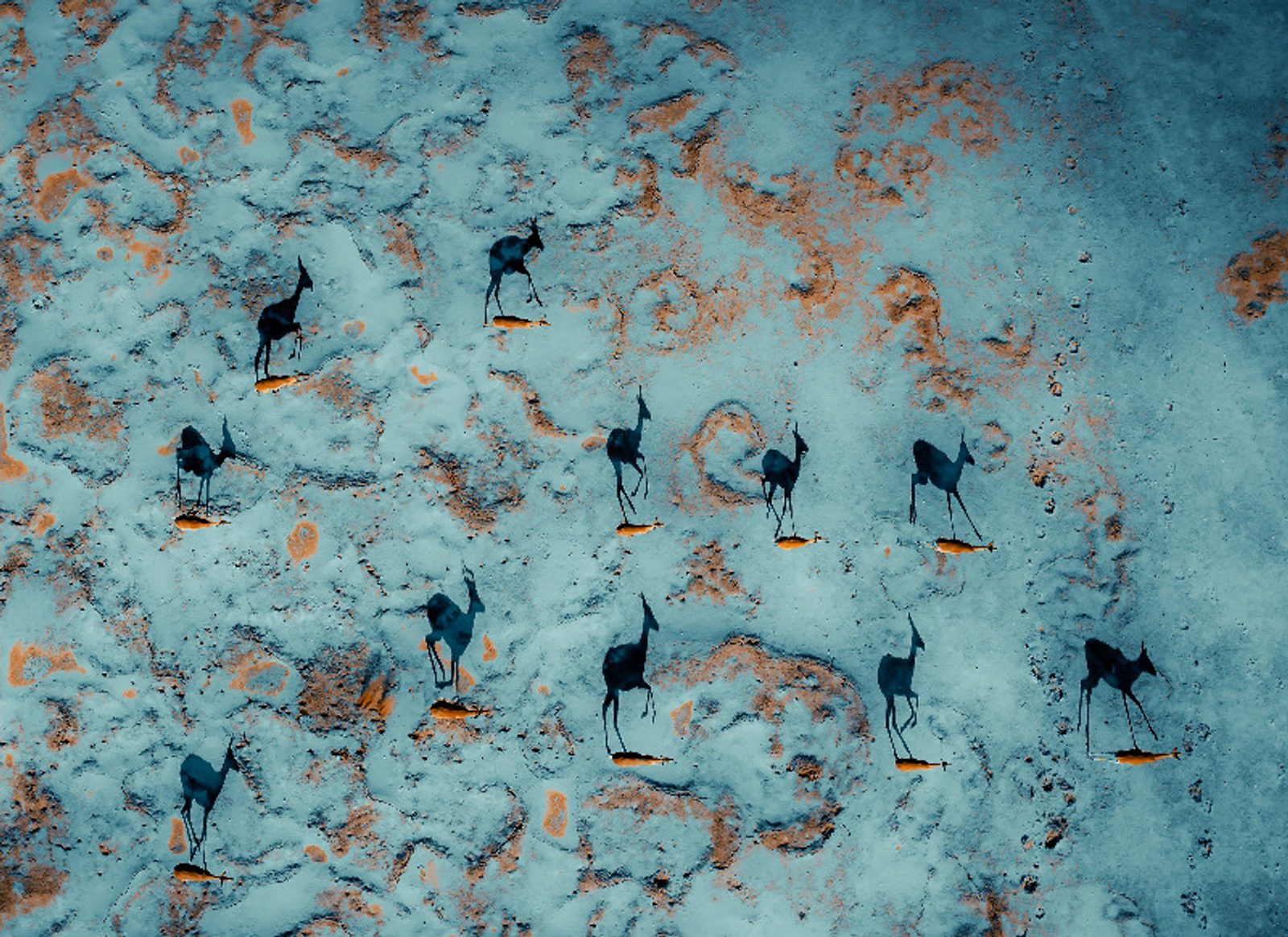Namibia from the air. Image: Solly Levi