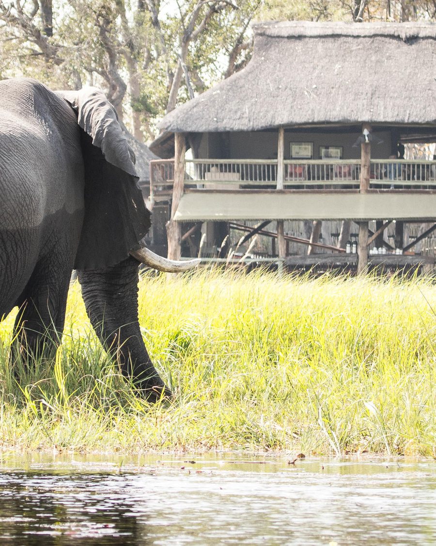 5 Day Magical Moremi & Okavango Delta