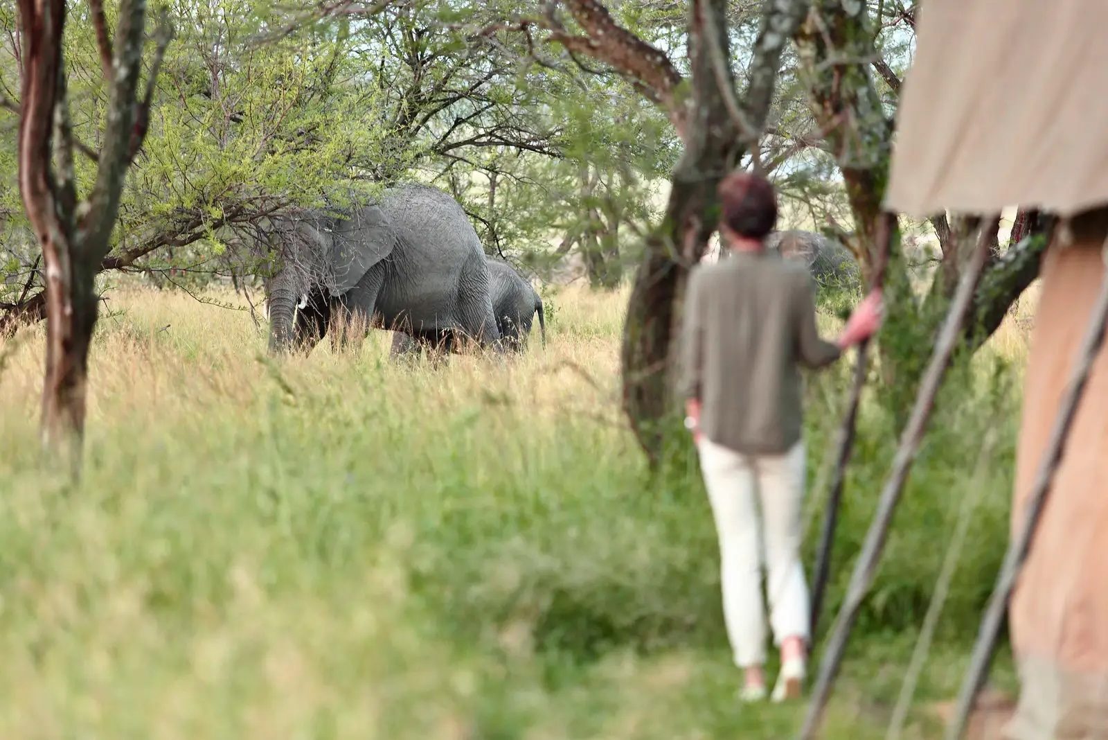 Expect up-close encounters with wildlife that’ll make your heart race (in the best way)