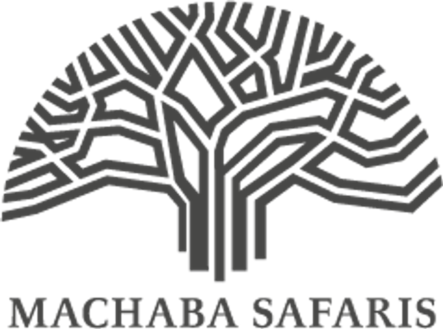 Machaba Safaris