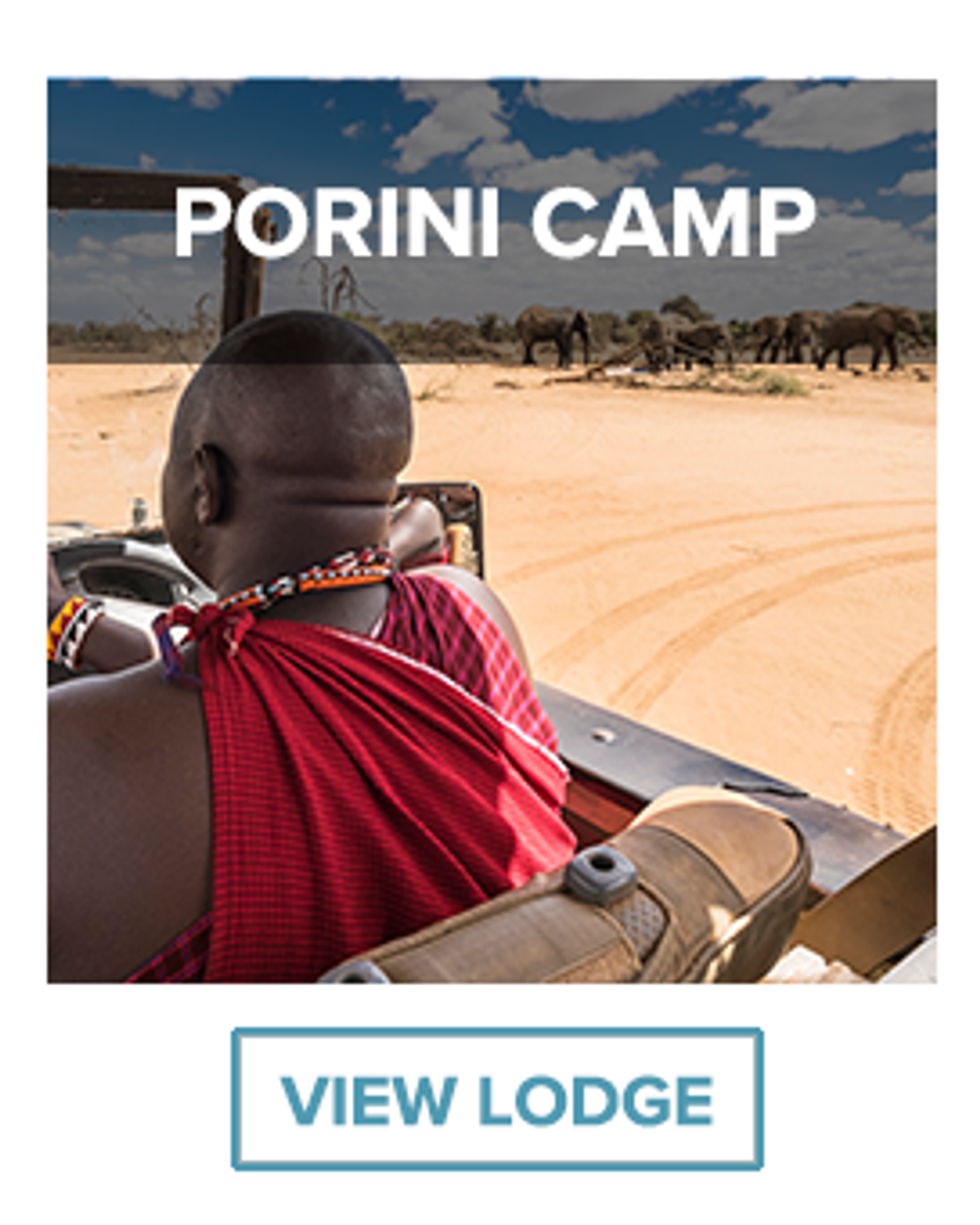 porini lion camp